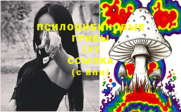 хмурый Медвежьегорск